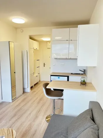 Prodej bytu 1+kk, Praha - Vysočany, Poděbradská, 20 m2