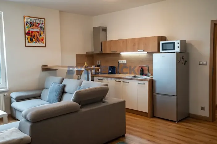 Prodej bytu 1+kk, České Budějovice, České Vrbné, 45 m2