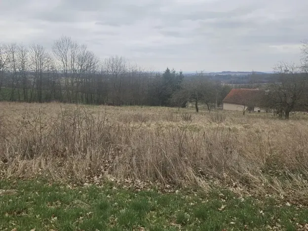 Dražba pozemku pro bydlení, Mezno, 5329 m2