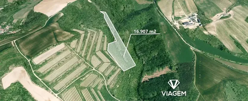 Prodej zahrady, Nikolčice, 16907 m2
