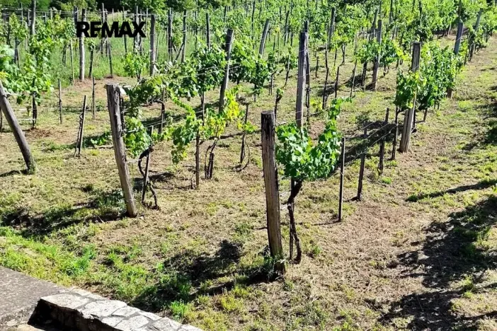 Prodej chalupy, Pincehely, Maďarsko, 145 m2