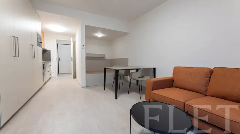 Pronájem bytu 1+kk, Praha - Žižkov, Hartigova, 34 m2