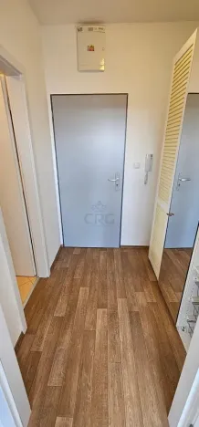 Pronájem bytu 1+kk, Brno - Zábrdovice, Tkalcovská, 32 m2