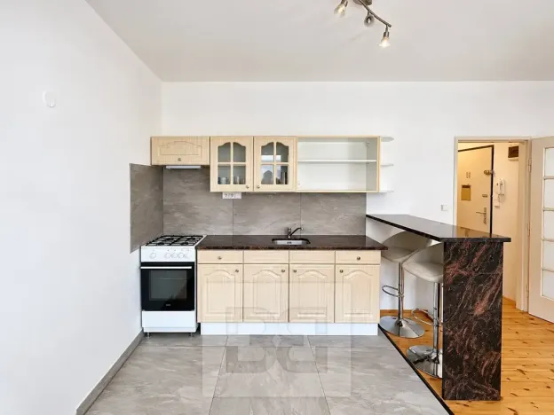 Pronájem bytu 1+kk, Praha - Nusle, U družstva Život, 44 m2