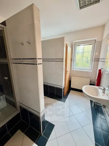 Prodej výrobních prostor, Mladá Boleslav, Ptácká, 1011 m2
