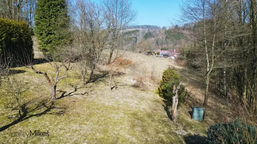 Prodej louky, Železný Brod, 4168 m2