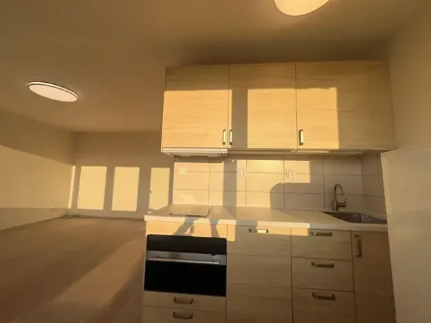 Pronájem bytu 1+kk, Praha - Karlín, Nekvasilova, 27 m2