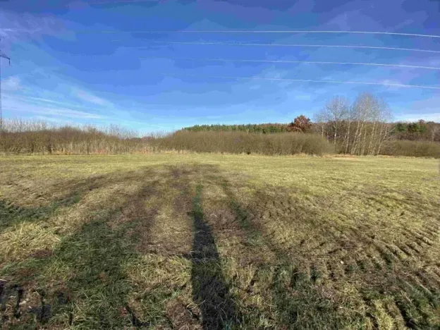 Dražba louky, Vodňany, 2663 m2