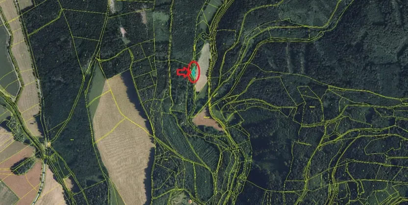 Prodej podílu lesa, Albrechtice, 2552 m2
