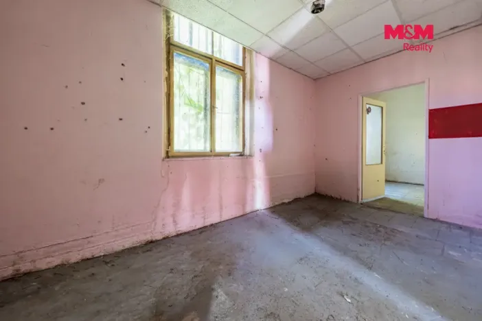 Prodej činžovního domu, Nová Ves - Vepřek, 600 m2