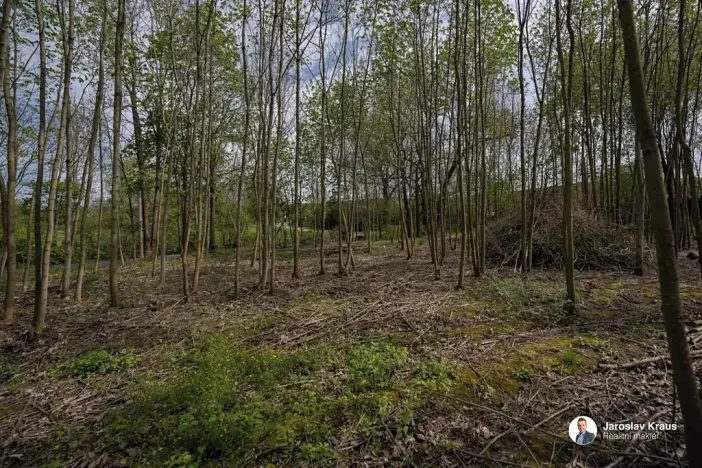 Prodej pozemku pro bydlení, Vrbice, 1336 m2