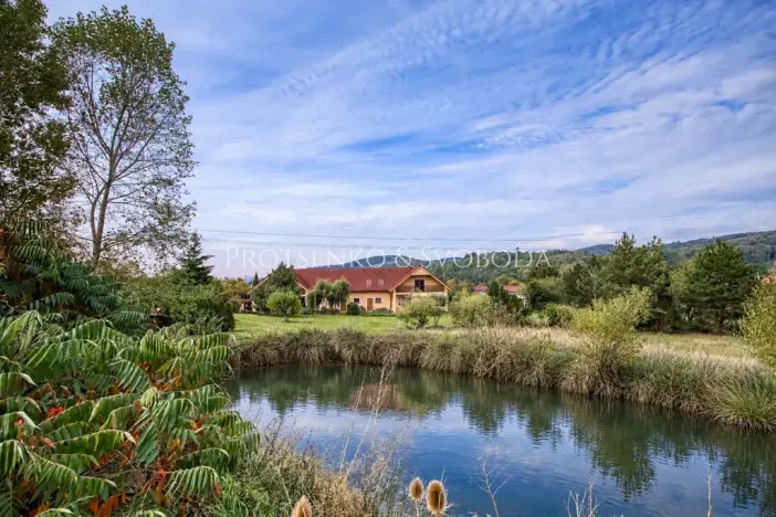Prodej vícegeneračního domu, Předenice, 482 m2