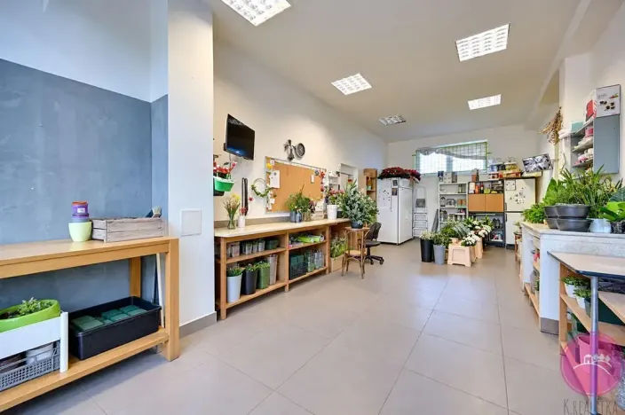 Prodej obchodního prostoru, Olomouc, tř. Míru, 140 m2