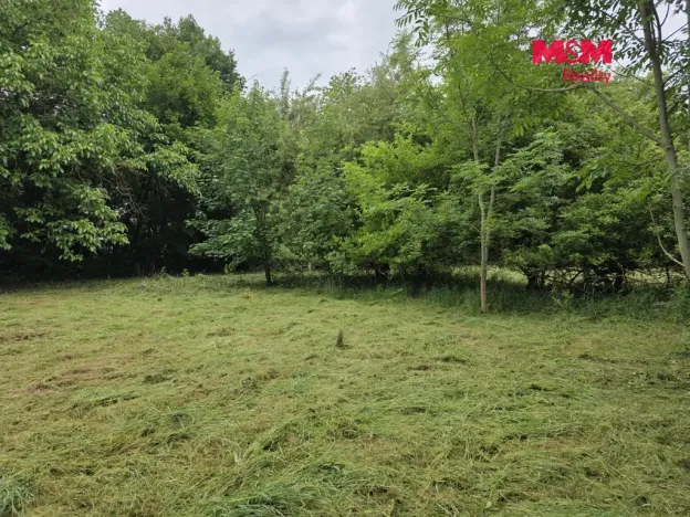 Prodej pozemku pro bydlení, Bor - Boječnice, 1115 m2