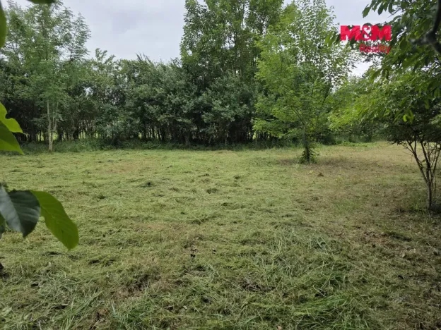 Prodej pozemku pro bydlení, Bor - Boječnice, 1115 m2