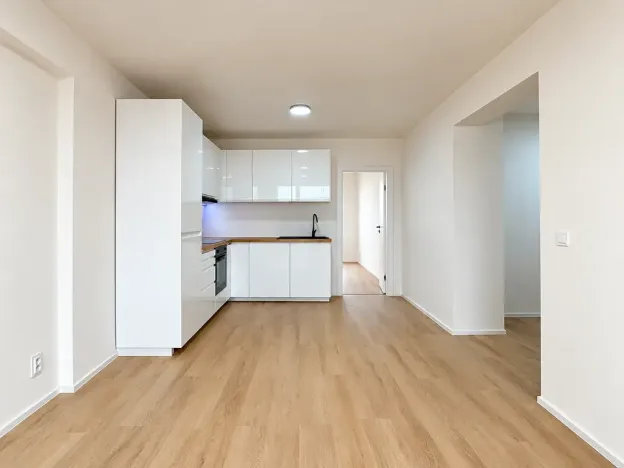 Prodej bytu 3+kk, Mladá Boleslav, U stadionu, 64 m2