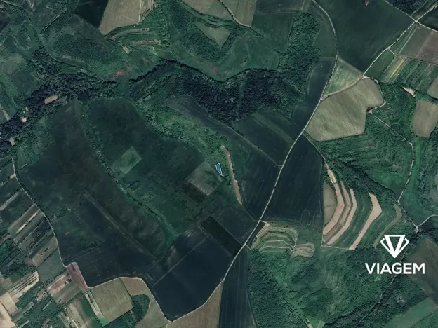 Prodej pole, Velké Němčice, 1162 m2
