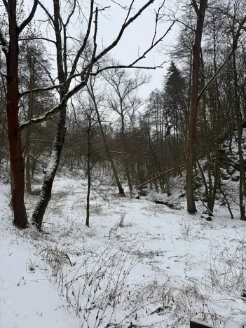 Prodej rybníku, Chotiměř, 6437 m2