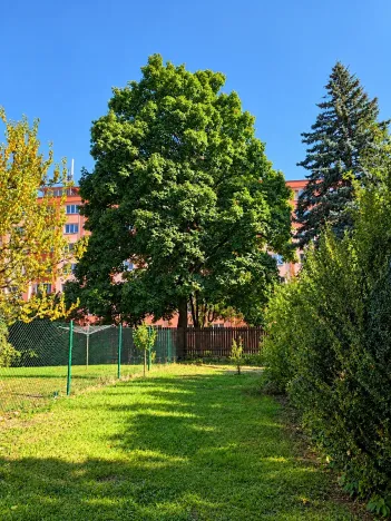 Prodej bytu 3+kk, Plzeň, Nepomucká, 70 m2