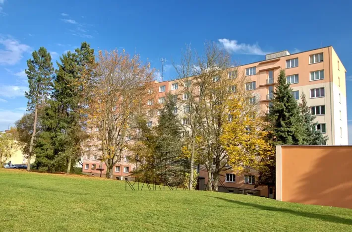 Prodej bytu 1+kk, Chodov, Palackého, 18 m2