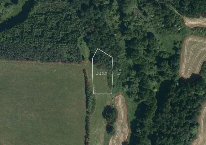 Prodej pole, Tachov, 2776 m2