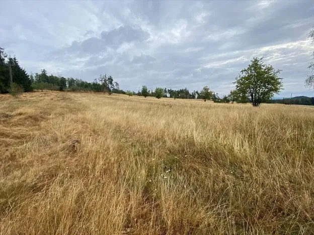 Prodej pozemku, Český Rudolec - Matějovec, 15087 m2