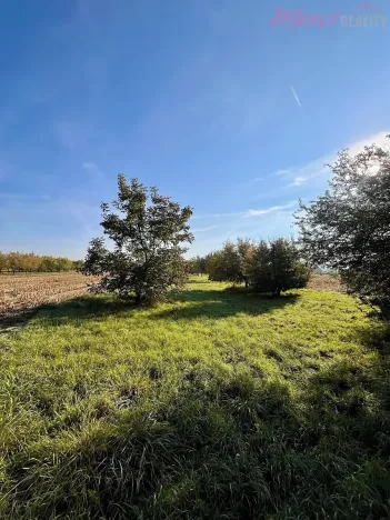 Prodej zahrady, Veselí nad Moravou, 448 m2