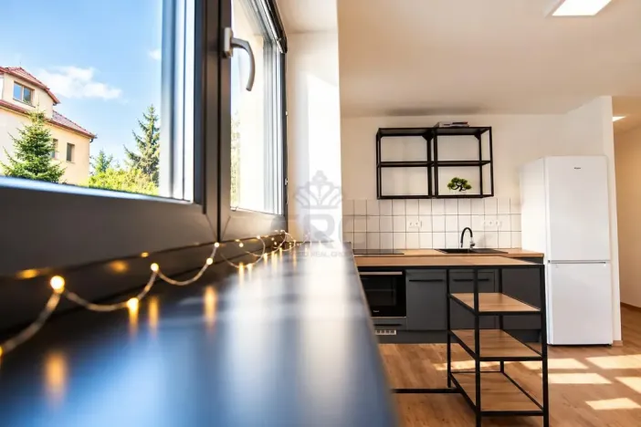 Pronájem bytu 2+kk, Brno - Štýřice, Sovinec, 42 m2