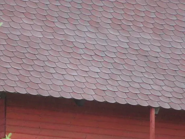 Dražba zahrady, Děčín, 323 m2
