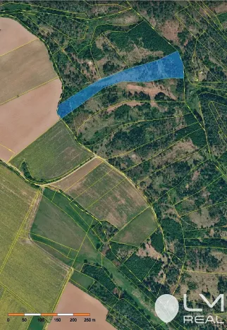 Prodej lesa, Čikov, 17924 m2