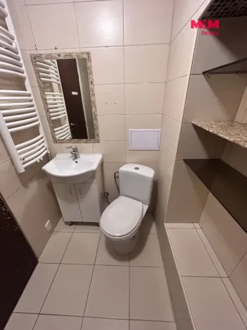 Pronájem bytu 4+1, Teplice, Revoluční, 89 m2