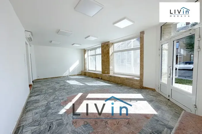 Pronájem obchodního prostoru, Olomouc, Smrčkova, 48 m2