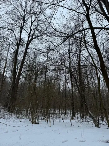 Prodej pozemku, Kralupy nad Vltavou, 719 m2