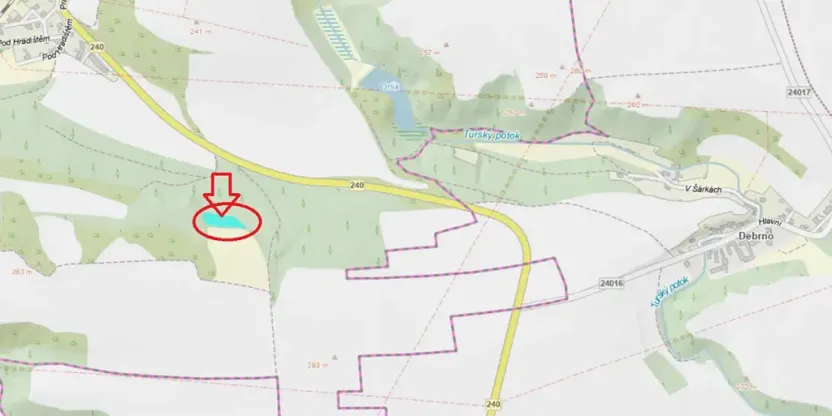 Prodej lesa, Kralupy nad Vltavou, 2714 m2