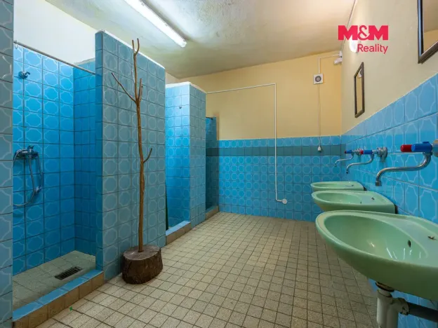 Prodej ubytování, Doksy, Štědrá, 500 m2