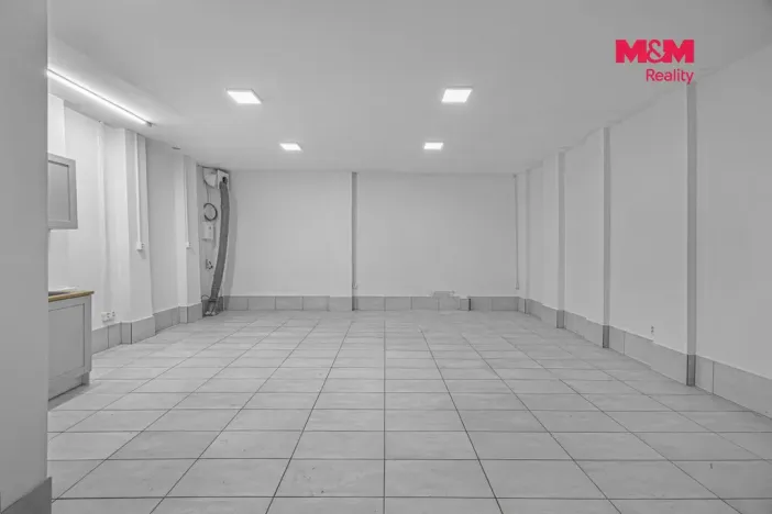Prodej komerční nemovitosti, Praha, Vlkova, 48 m2