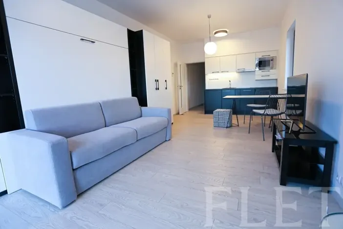 Pronájem bytu 1+kk, Praha - Karlín, U Mlýnského kanálu, 36 m2