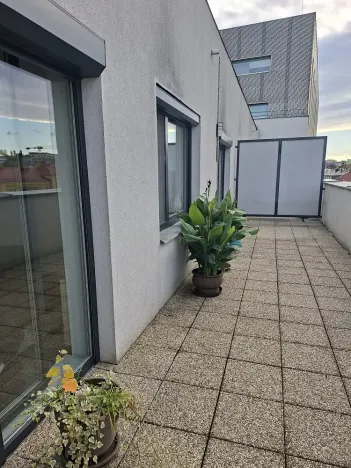 Pronájem bytu 3+kk, Olomouc, Wolkerova, 63 m2