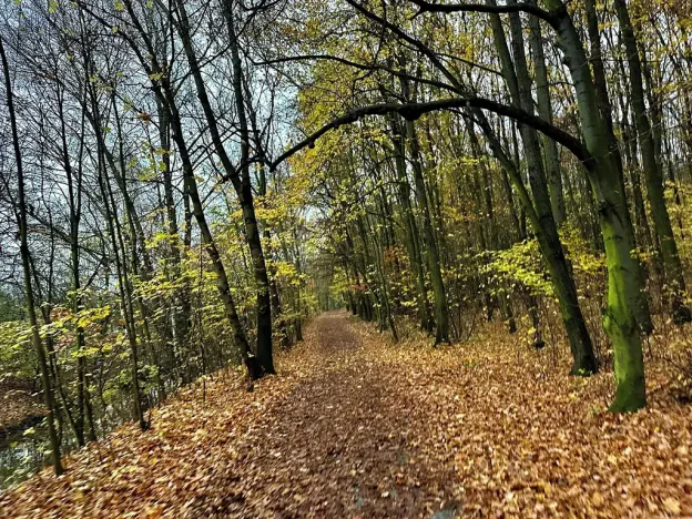 Pronájem bytu 3+kk, Praha - Hrdlořezy, Mezitraťová, 110 m2