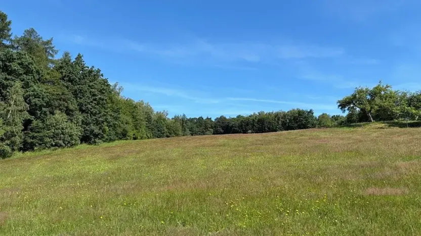 Prodej louky, Háje nad Jizerou, 3927 m2