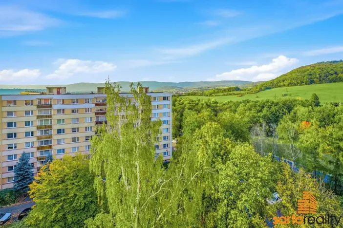 Prodej bytu 2+1, Ústí nad Labem, Burianova, 49 m2