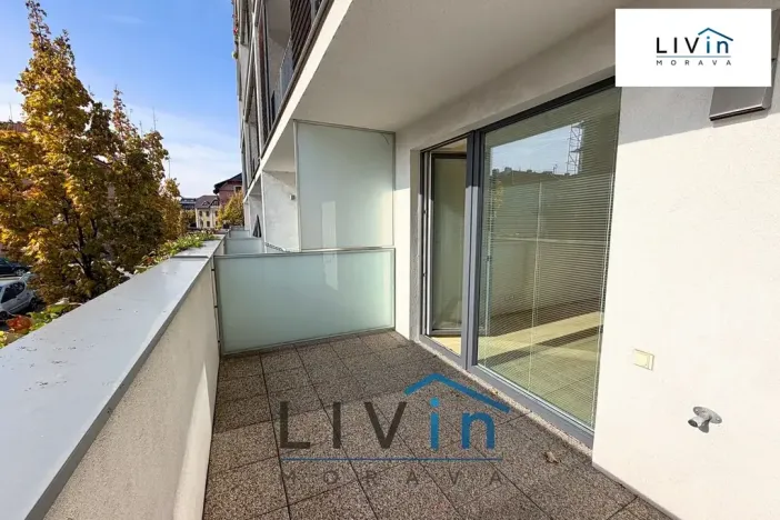 Pronájem bytu 1+kk, Olomouc, Rokycanova, 43 m2