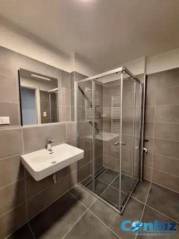 Pronájem bytu 1+kk, Praha - Karlín, Švarcova, 31 m2
