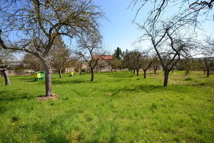 Prodej zahrady, Bučovice, 363 m2