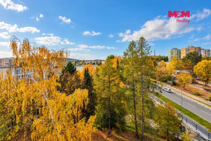 Prodej bytu 3+1, Příbram - Příbram VIII, Školní, 87 m2