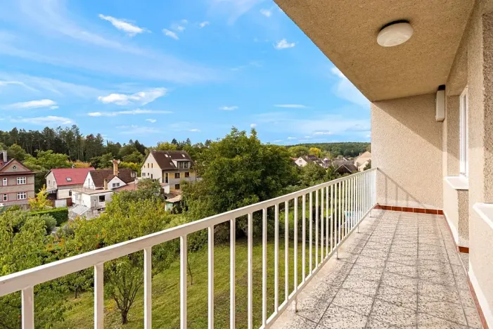 Prodej vícegeneračního domu, Sezimovo Ústí, Švehlova, 271 m2