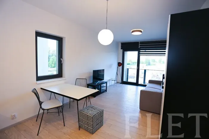 Pronájem bytu 1+kk, Praha - Karlín, U Mlýnského kanálu, 36 m2