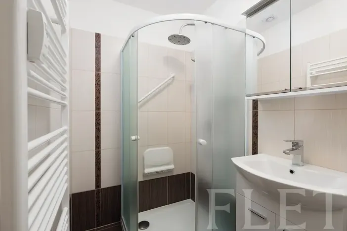Prodej bytu 2+1, Praha - Žižkov, Loudova, 61 m2