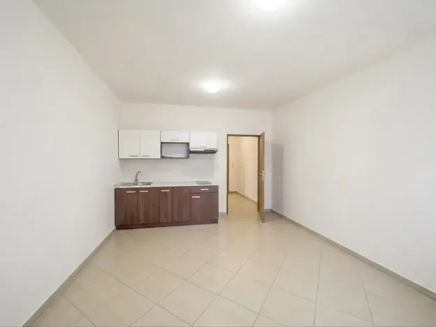 Prodej bytu 1+kk, Brno, Svitavská, 29 m2