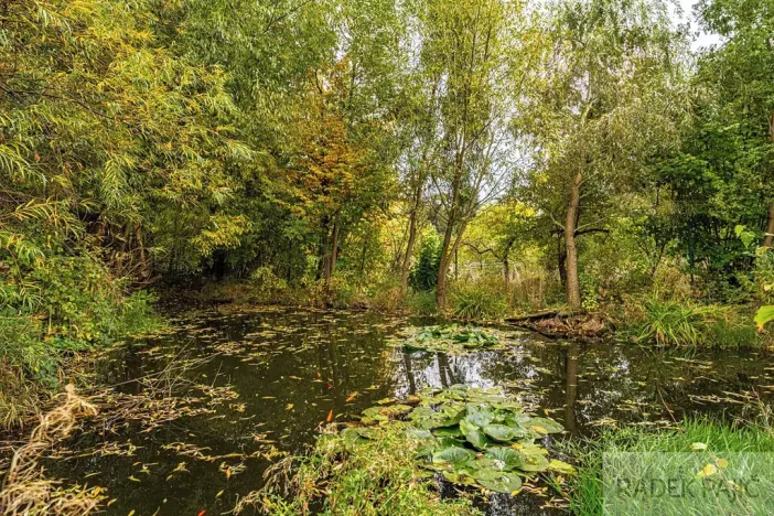 Prodej rodinného domu, Neustupov, 1127 m2